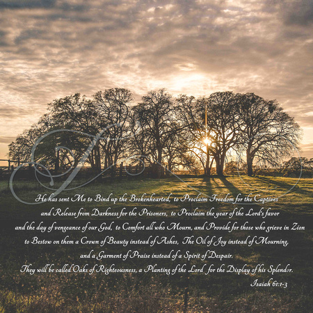 Isaiah61-1-3-OaksOfRighteousness-Copyright-TraceableTakes-1x1a
