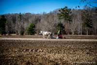 plow-day-feb2014-6756