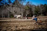plow-day-feb2014-6755