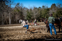 plow-day-feb2014-6754